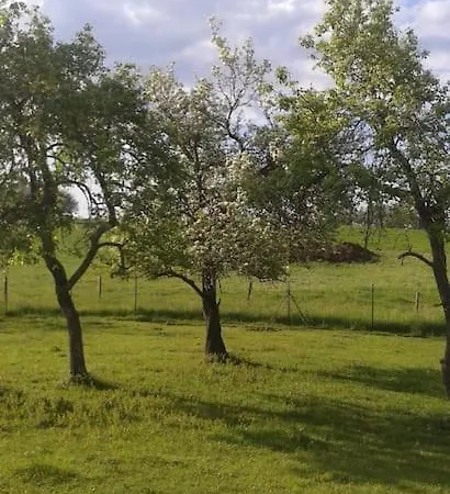 Villa Immense Loustaou D'elisa *